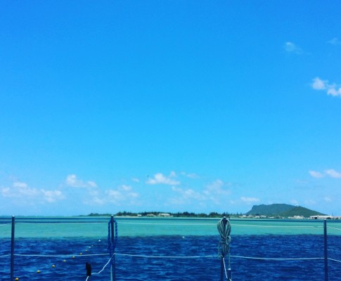 行ってきました。